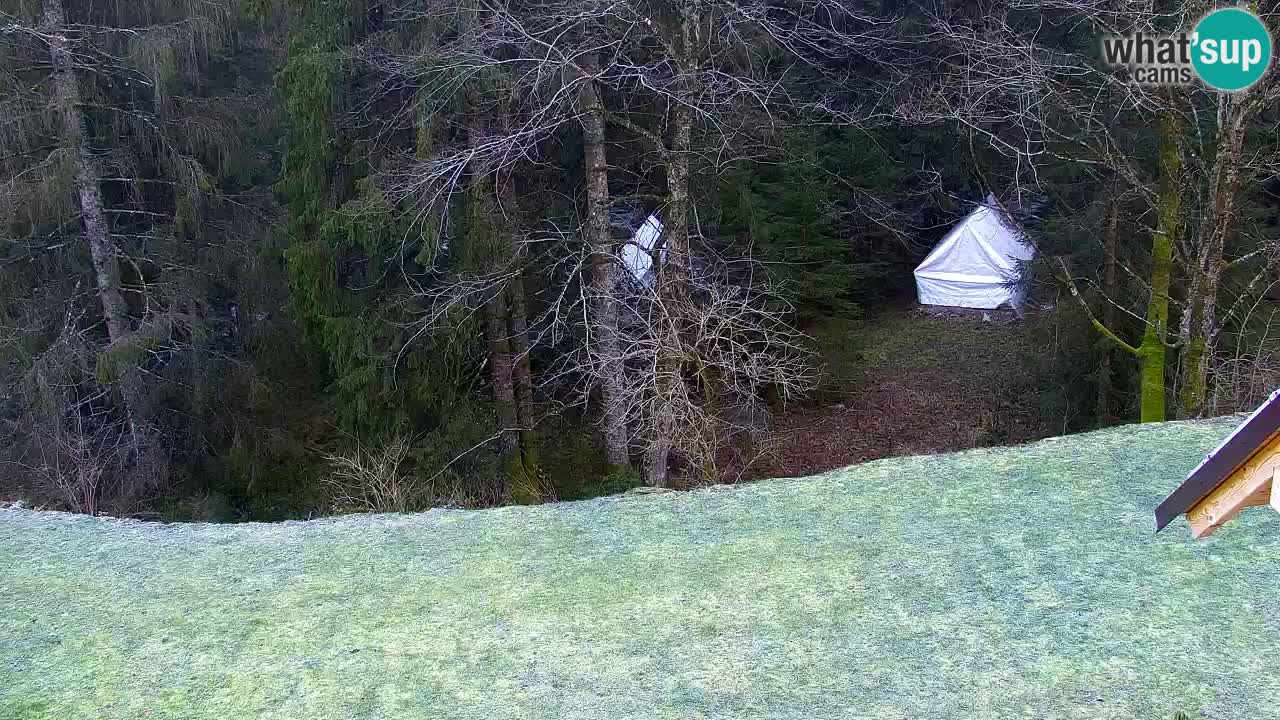 Webcam Lukanja – Water Village | Pohorje Houses