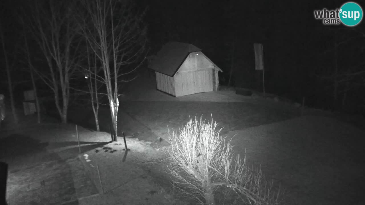 Webcam Lukanja – Water Village | Pohorje Houses