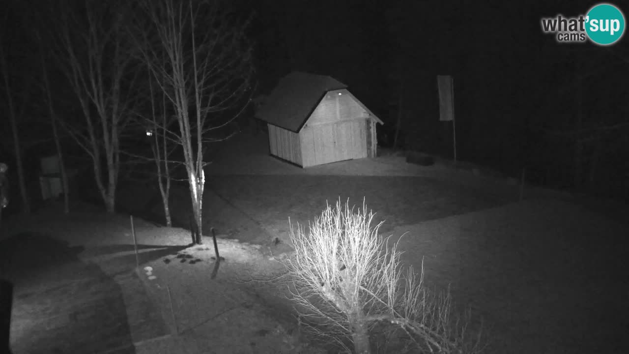 Webcam Lukanja – Water Village | Pohorje Houses