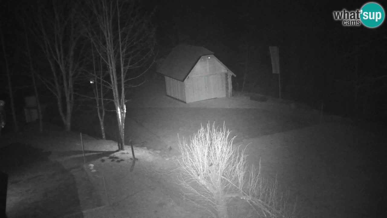 Webcam Lukanja – Pohorje houses a Water village