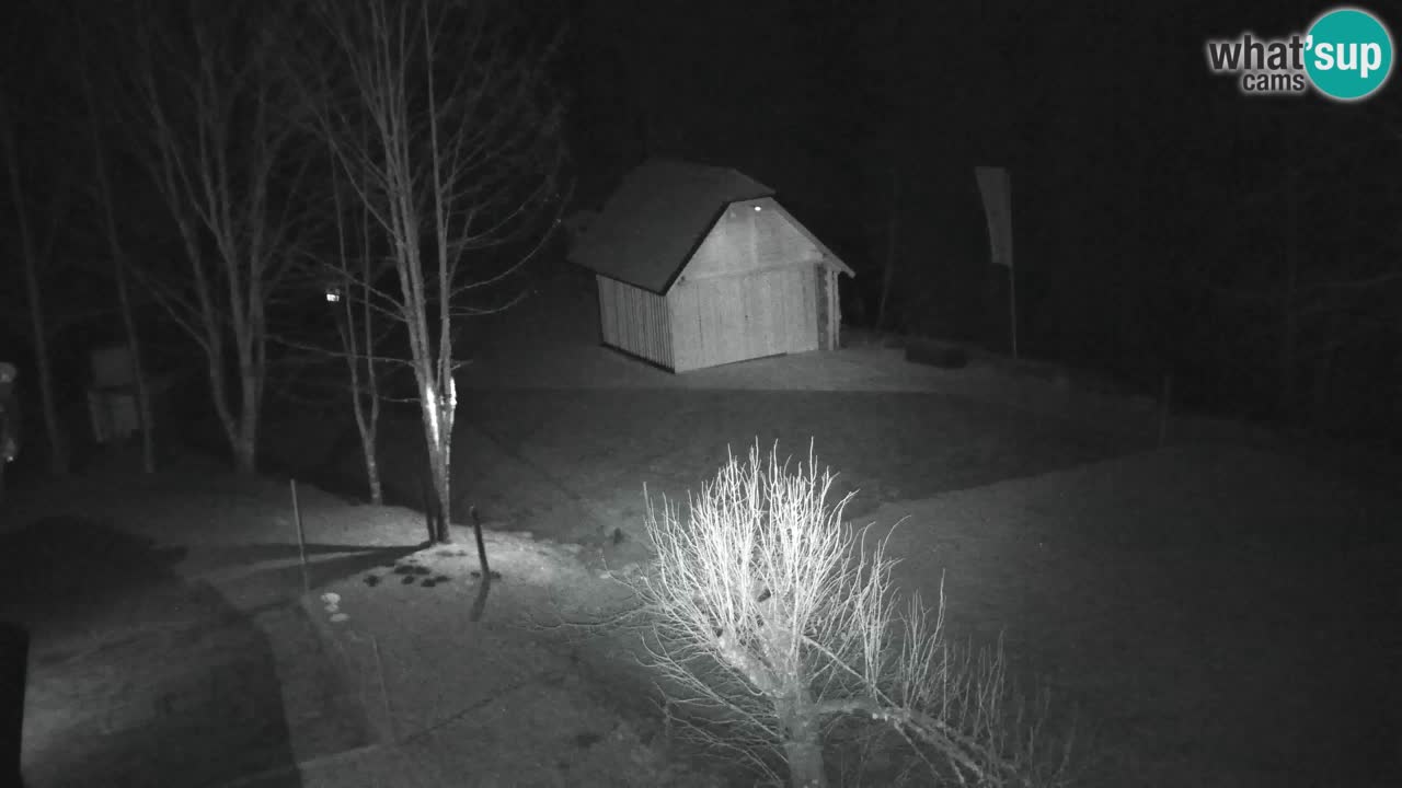 Webcam Lukanja – Water Village | Pohorje Houses