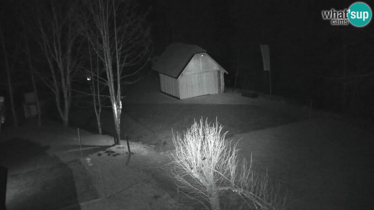 Webcam Lukanja – Water Village | Pohorje Houses