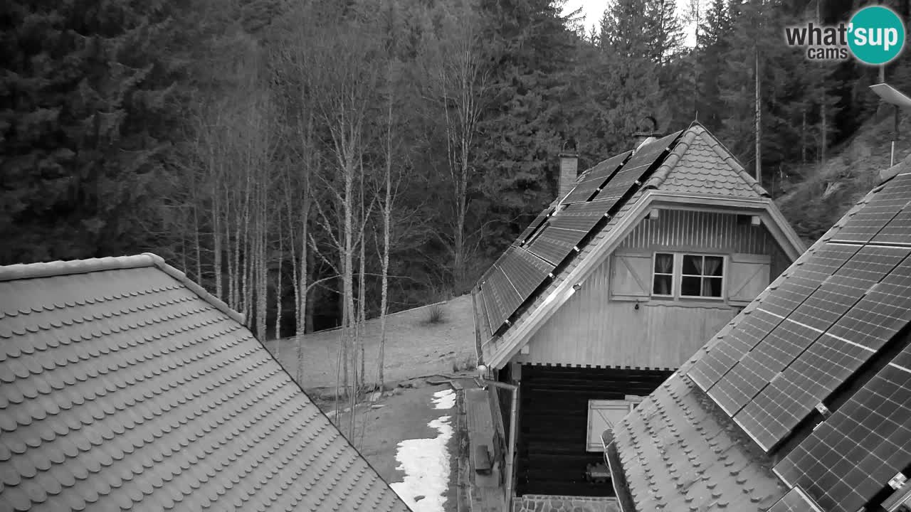 Webcam Lukanja – Pohorje houses a Water village