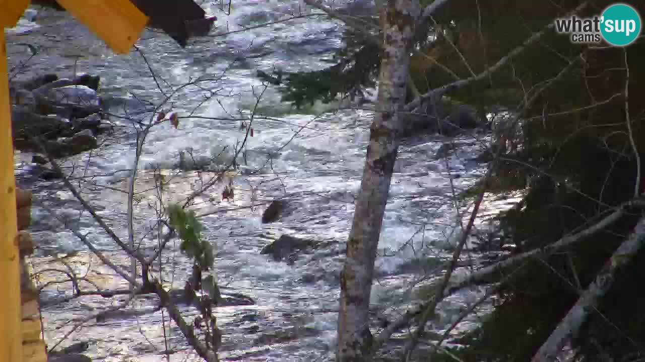 Webcam Lukanja – Water Village | Pohorje Houses