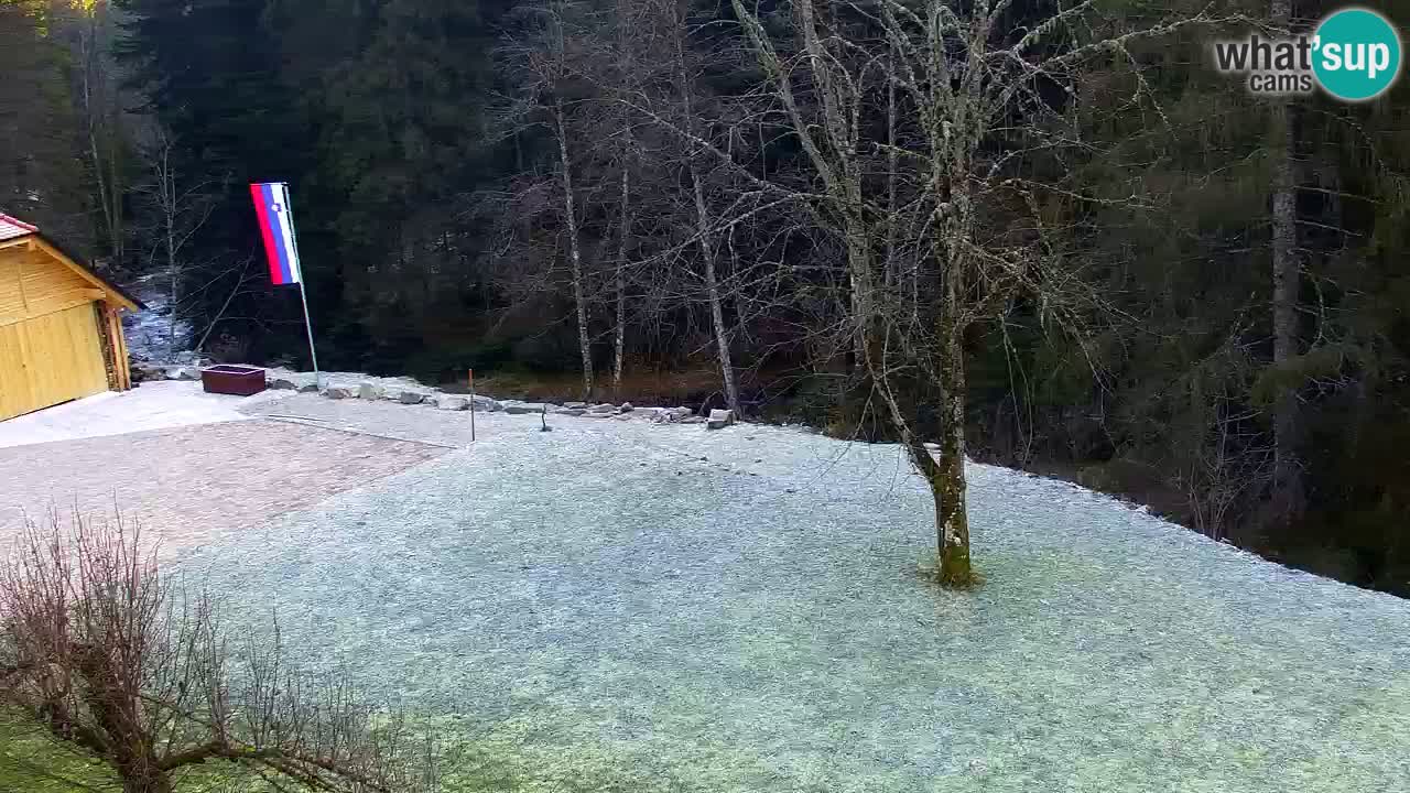 Webcam Lukanja – Pohorje houses a Water village