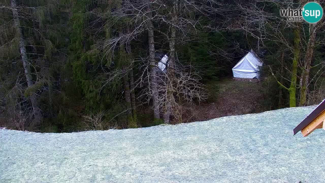 Webcam Lukanja – Water Village | Pohorje Houses