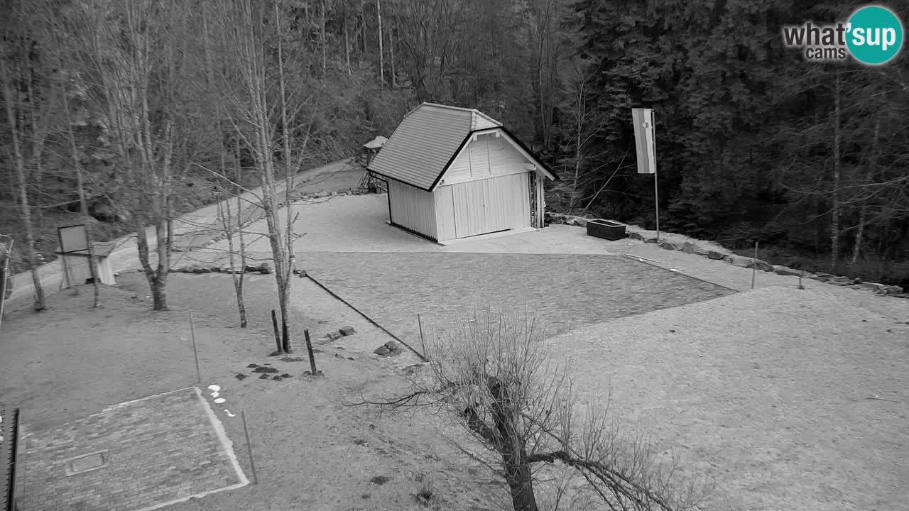 Webcam Lukanja – Water Village | Pohorje Houses