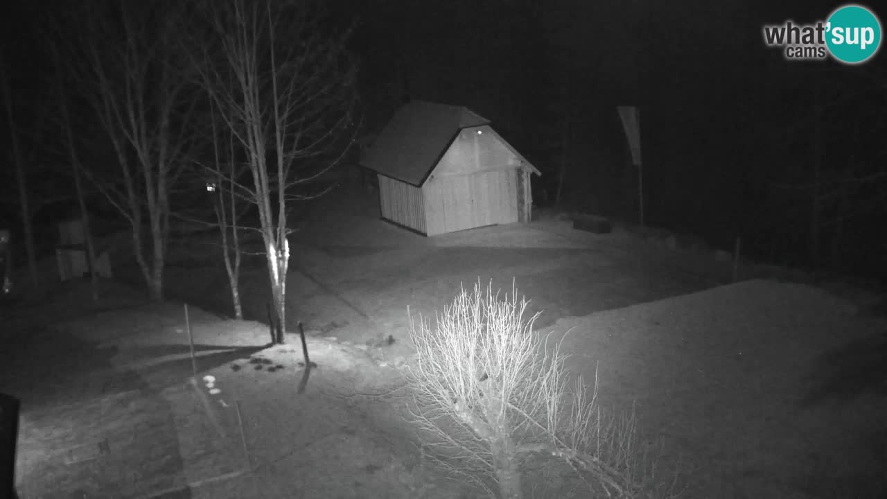 Webcam Lukanja – Pohorje houses a Water village