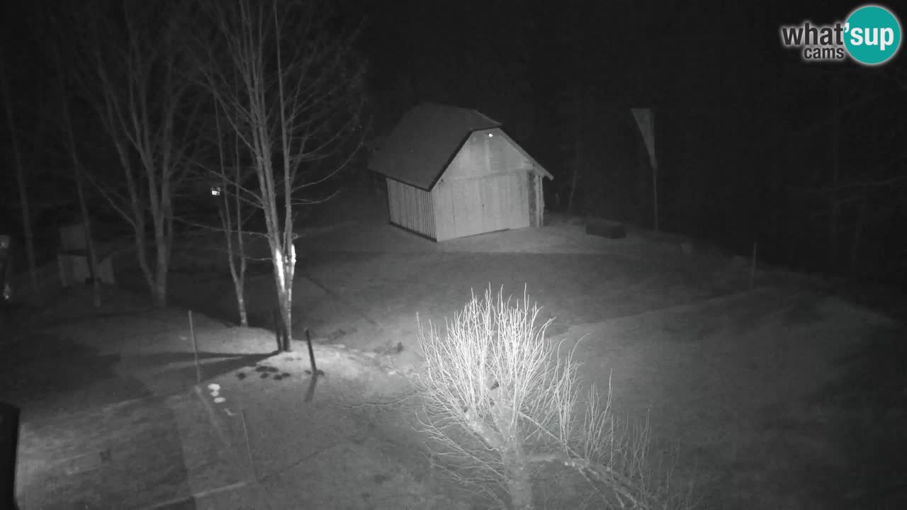 Webcam Lukanja – Pohorje houses a Water village