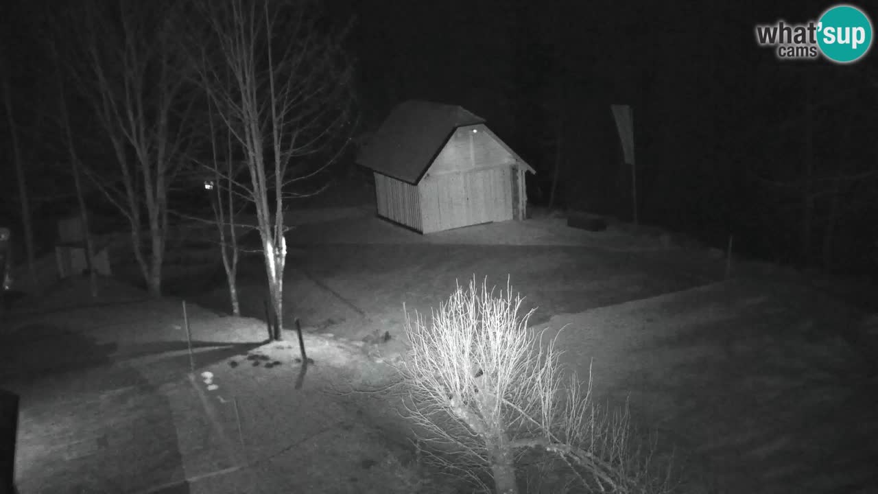 Webcam Lukanja – Pohorje houses a Water village