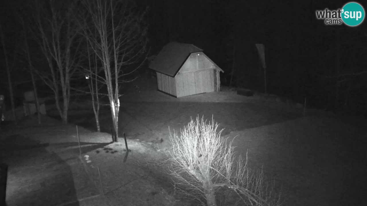 Webcam Lukanja – Water Village | Pohorje Houses