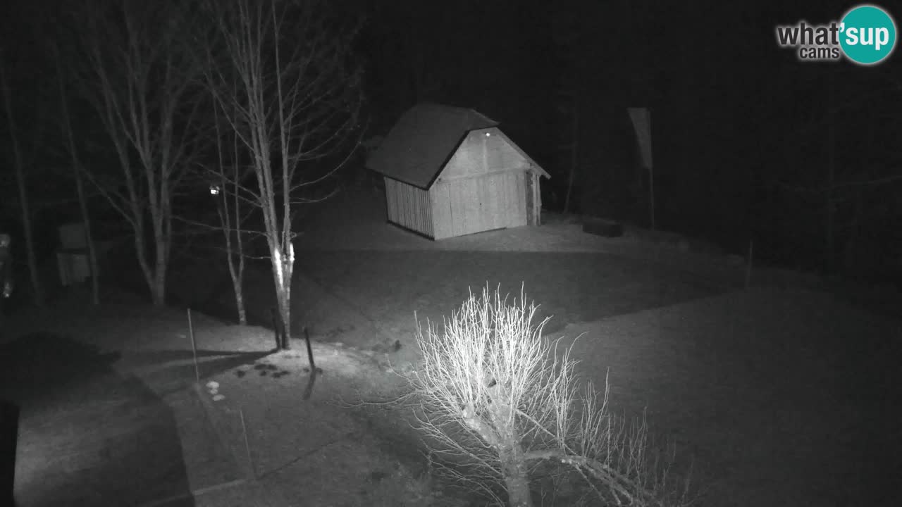 Webcam Lukanja – Water Village | Pohorje Houses