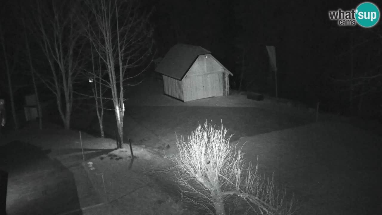 Webcam Lukanja – Water Village | Pohorje Houses