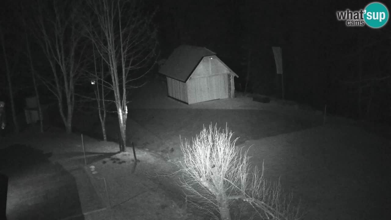 Webcam Lukanja – Pohorje houses a Water village