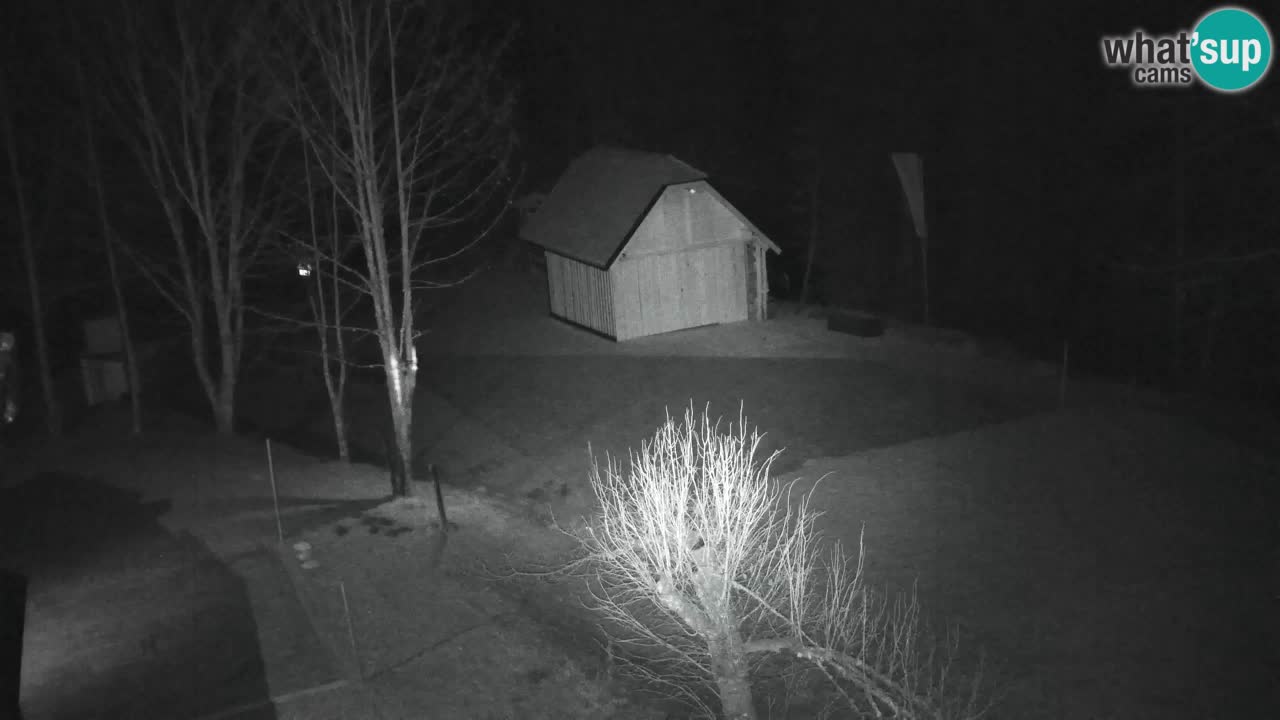 Webcam Lukanja – Water Village | Pohorje Houses