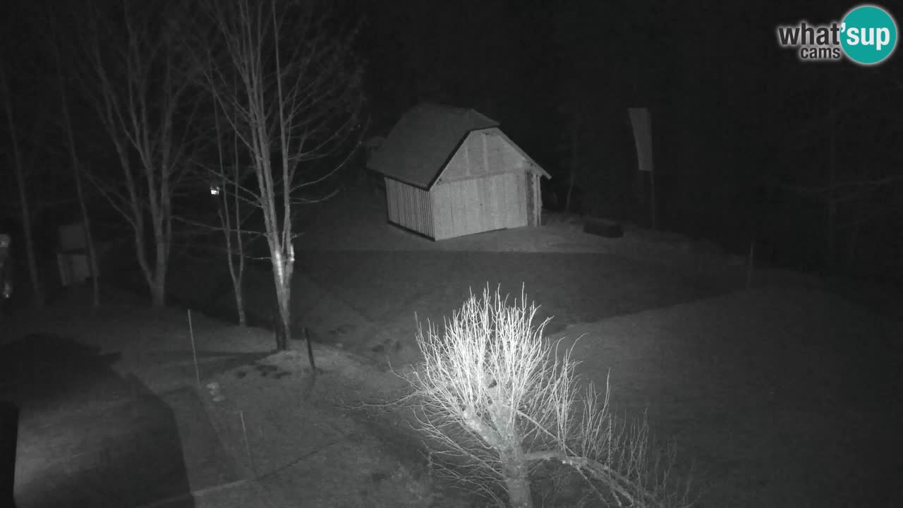 Webcam Lukanja – Water Village | Pohorje Houses