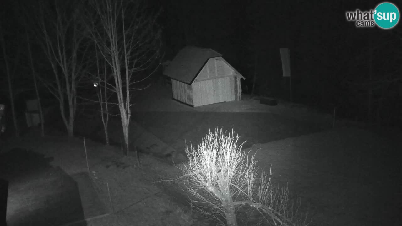 Webcam Lukanja – Water Village | Pohorje Houses