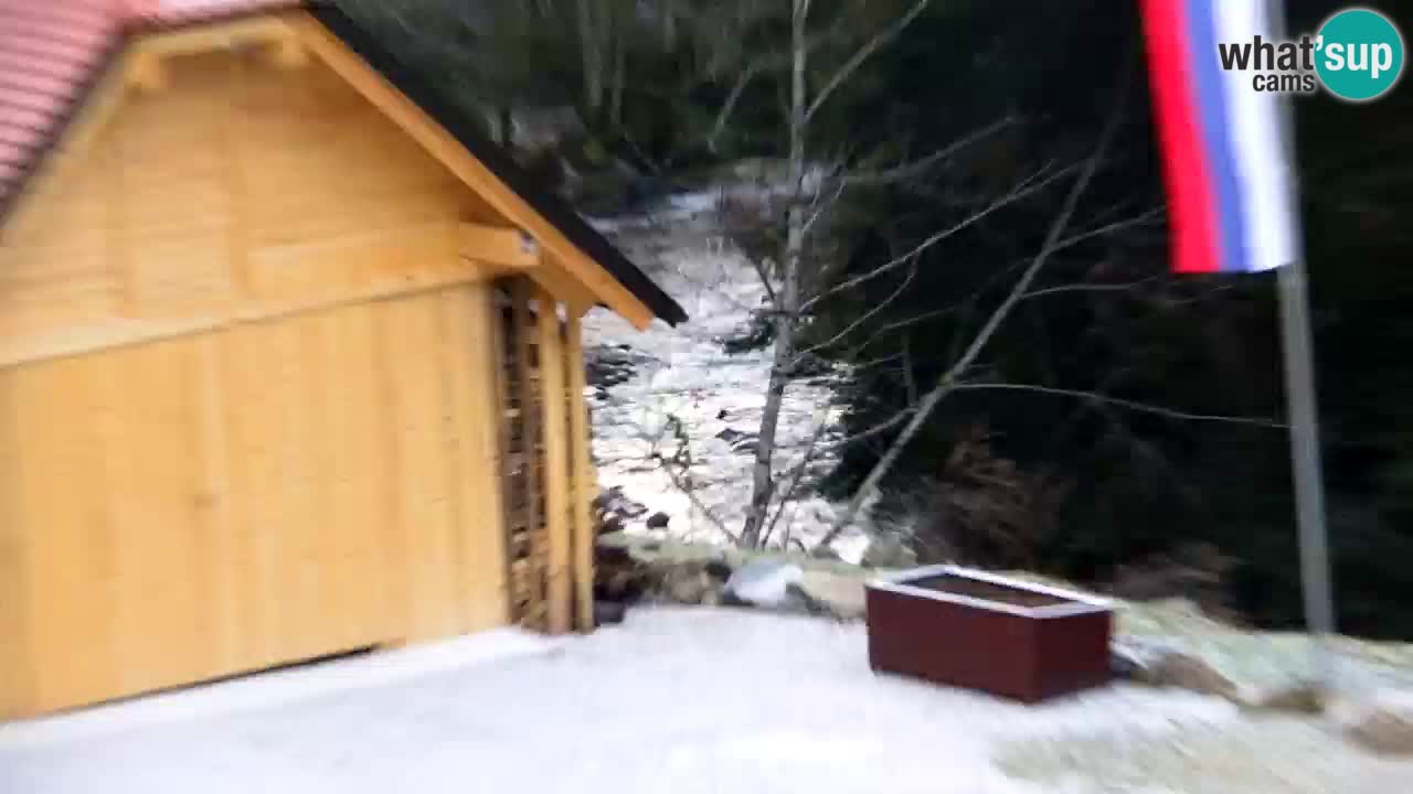 Spletna kamera Lukanja – Water Village | Pohorje Houses