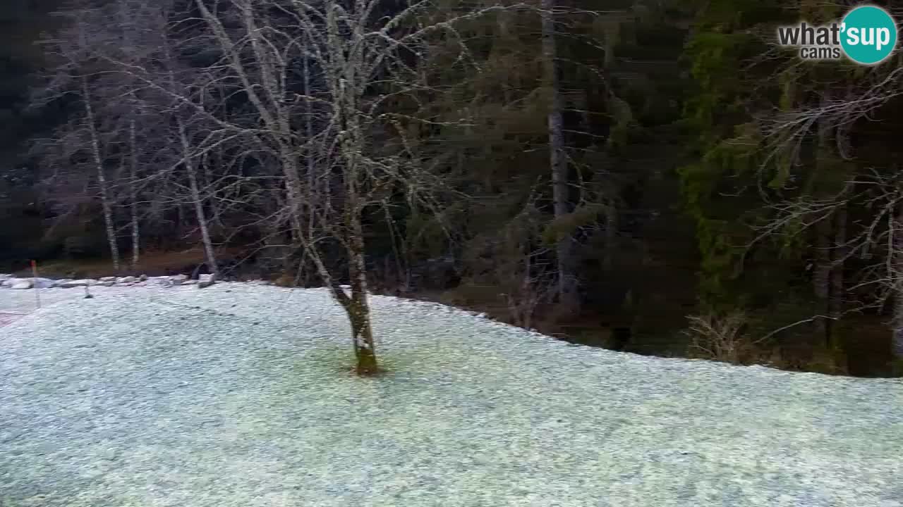 Webcam Lukanja – Water Village | Pohorje Houses