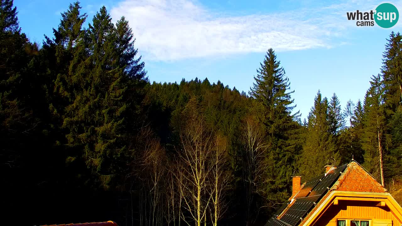 Spletna kamera Lukanja – Water Village | Pohorje Houses