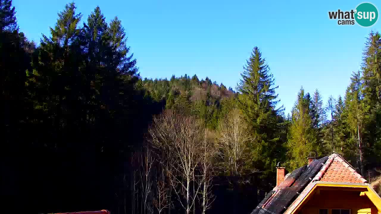 Webcam Lukanja – Water Village | Pohorje Houses