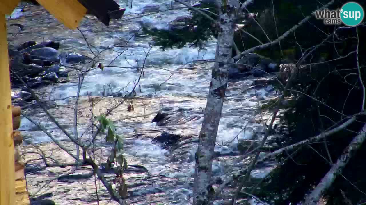 Webcam Lukanja – Water Village | Pohorje Houses