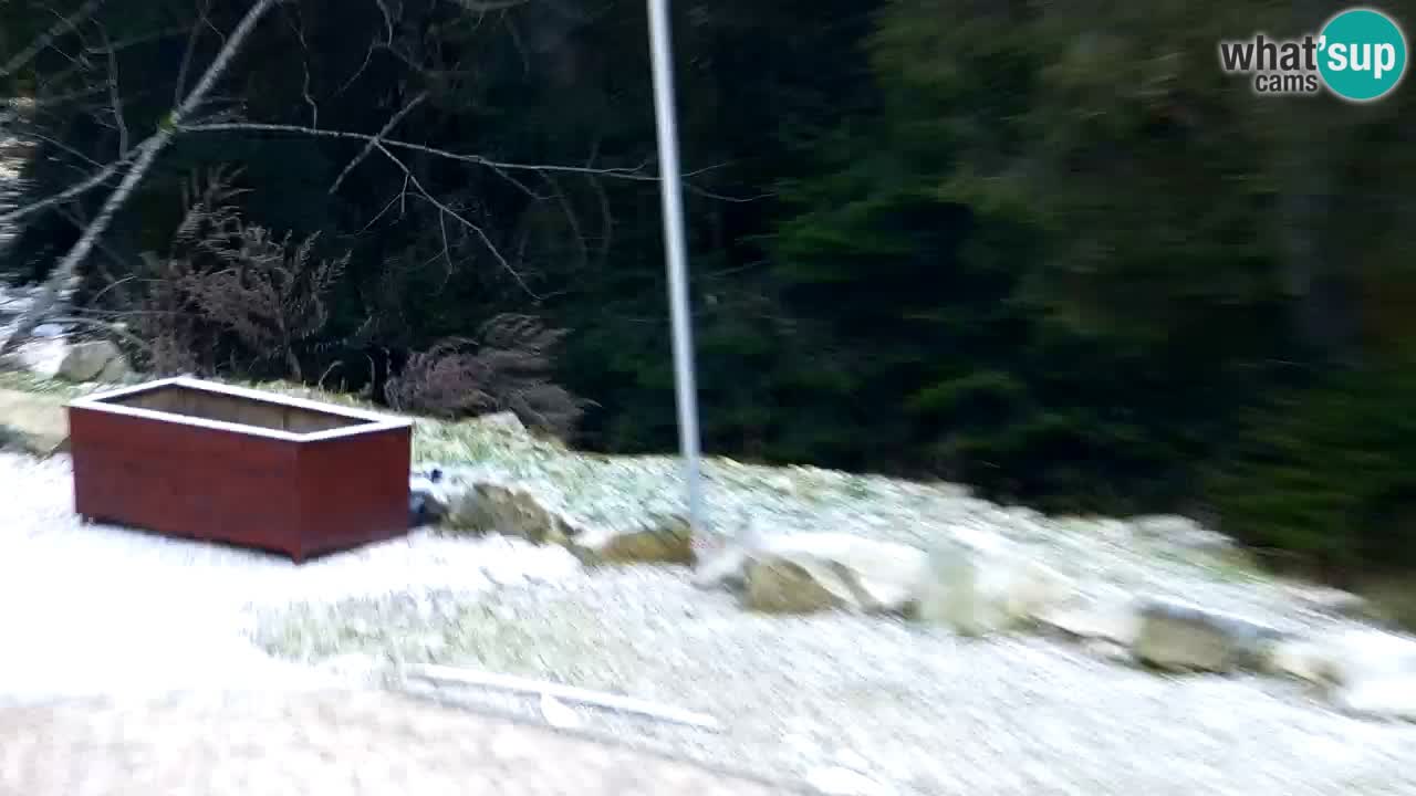 Web kamera Lukanja – Water Village | Pohorje Houses