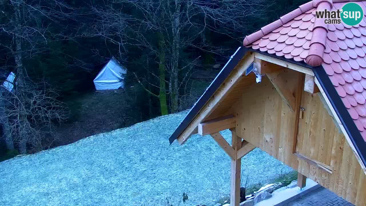 Webcam Lukanja – Water Village | Pohorje Houses