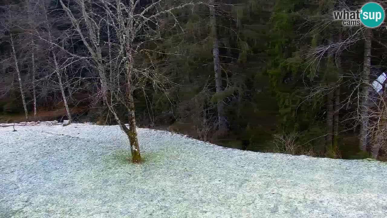 Webcam Lukanja – Water Village | Pohorje Houses