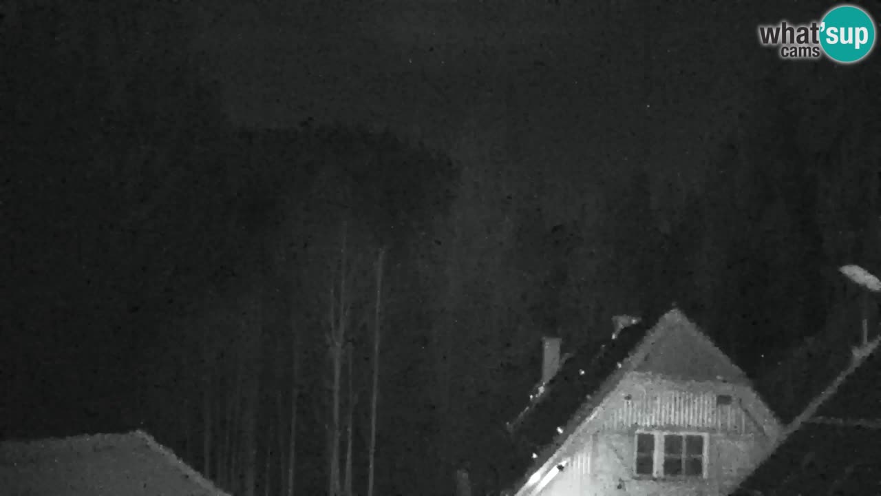 Webcam Lukanja – Water Village | Pohorje Houses