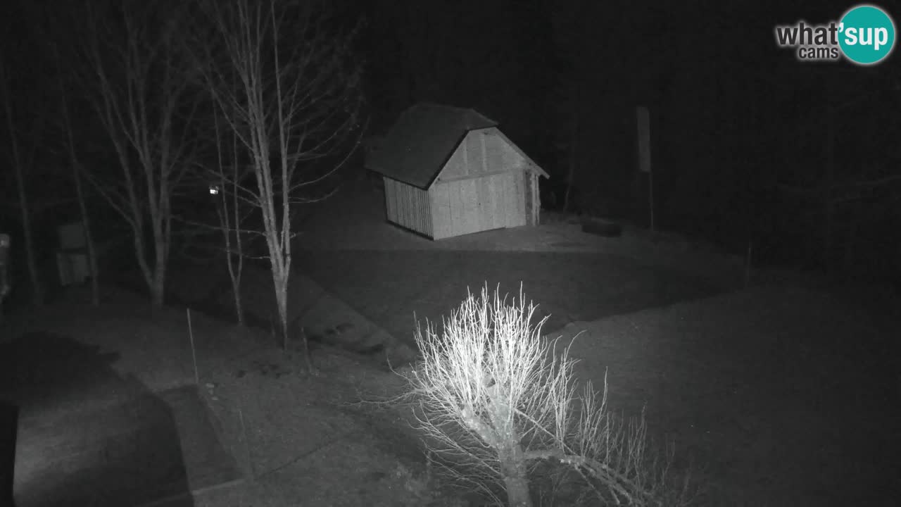 Webcam Lukanja – Water Village | Pohorje Houses