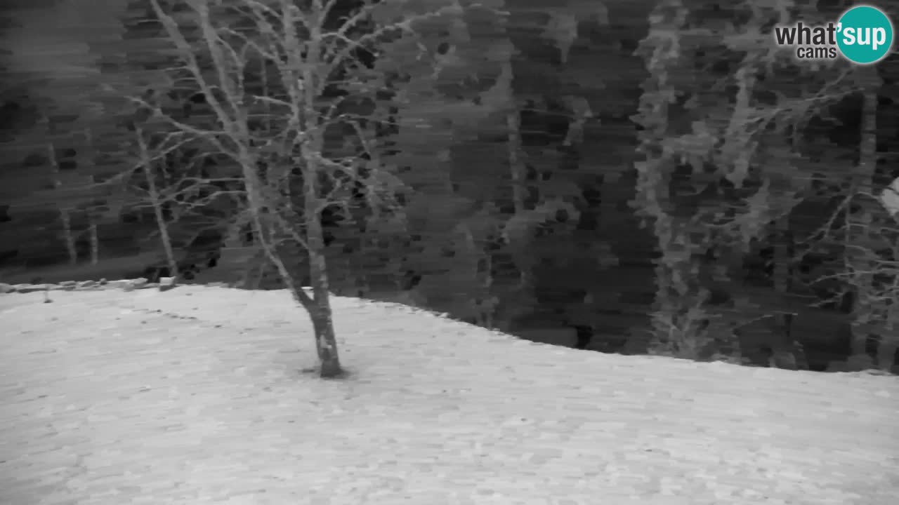 Spletna kamera Lukanja – Water Village | Pohorje Houses