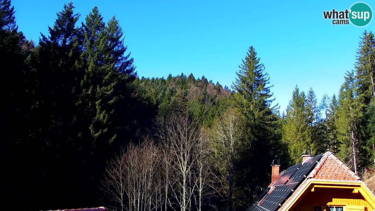 Webcam Lukanja – Pohorje houses a Water village