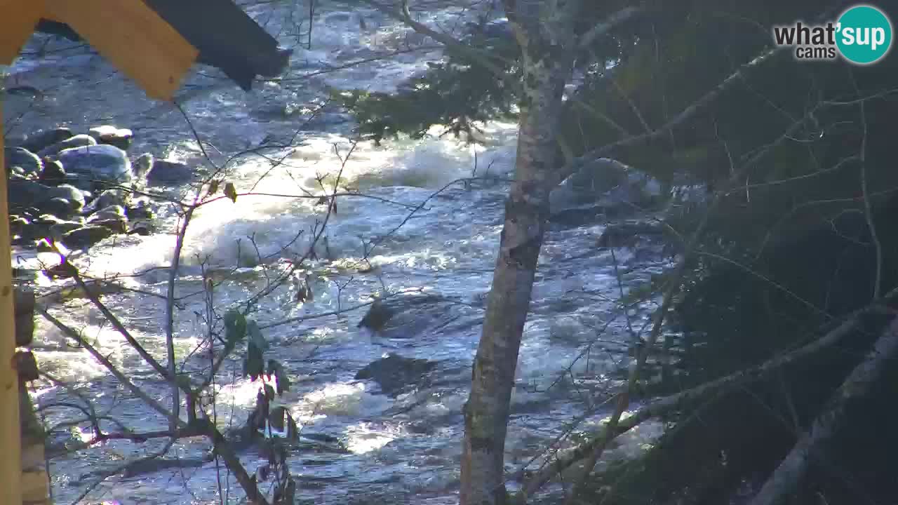 Webcam Lukanja – Water Village | Pohorje Houses