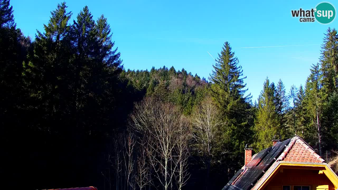 Webcam Lukanja – Water Village | Pohorje Houses