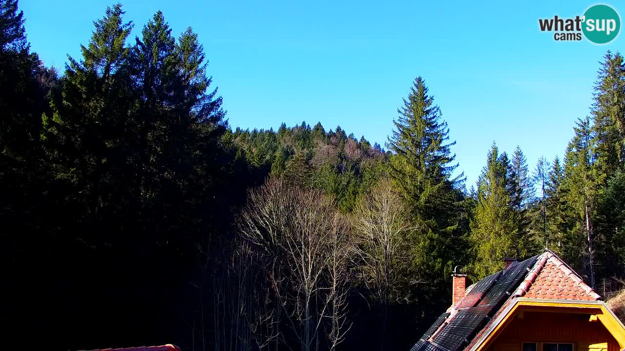 Webcam Lukanja – Pohorje houses a Water village