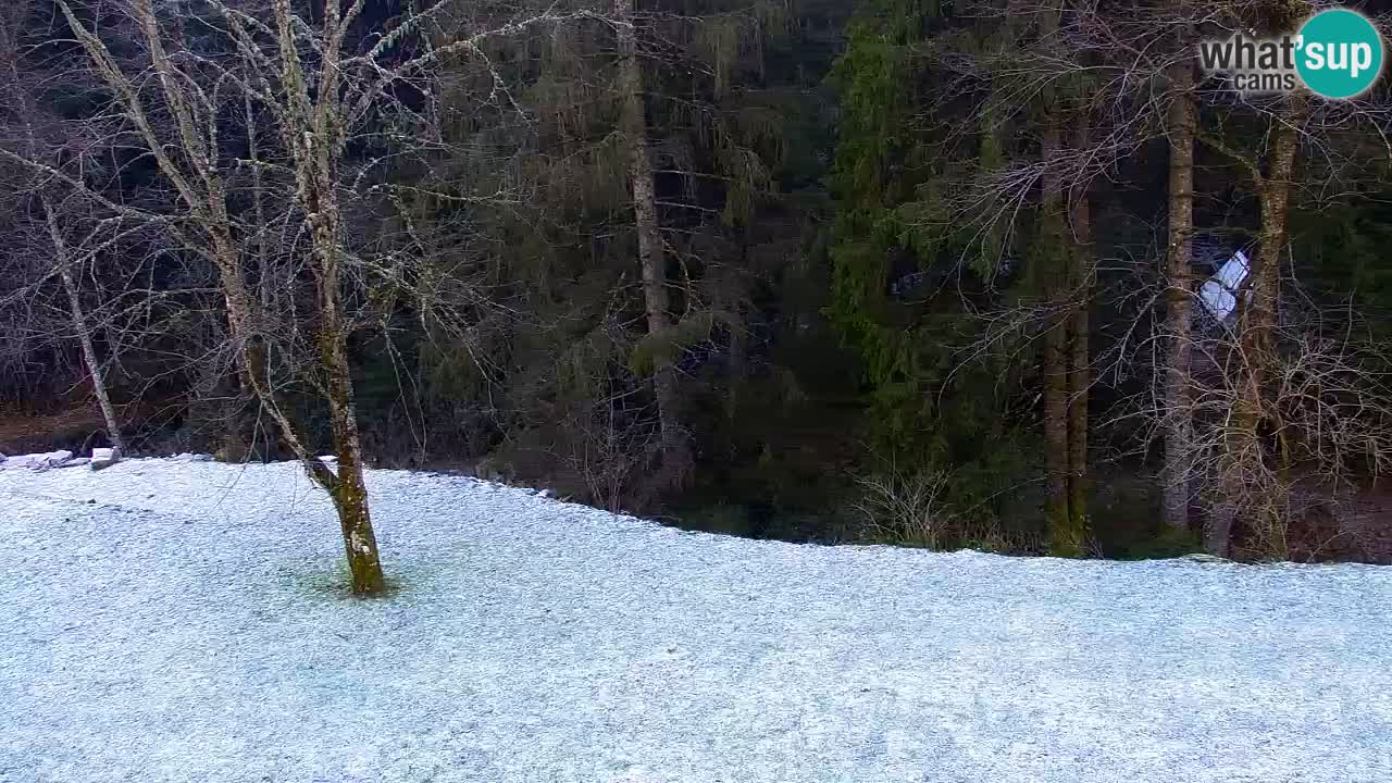 Webcam Lukanja – Water Village | Pohorje Houses