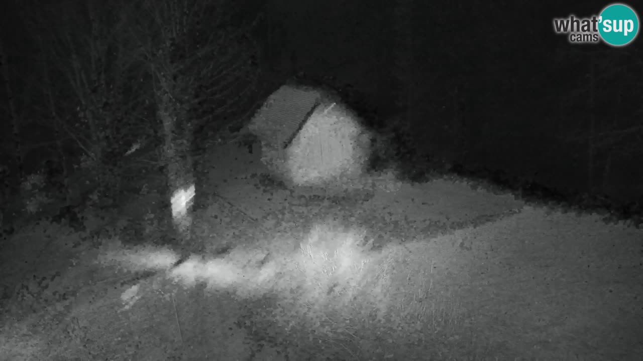 Webcam Lukanja – Water Village | Pohorje Houses