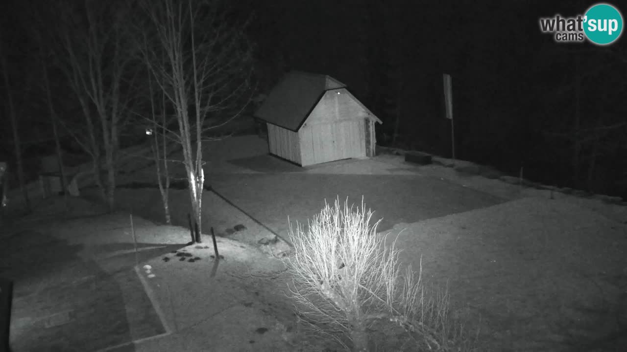 Web kamera Lukanja – Water Village | Pohorje Houses