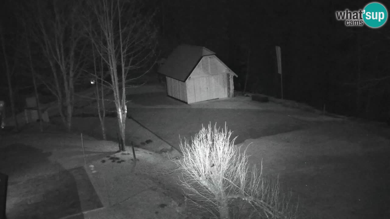 Web kamera Lukanja – Water Village | Pohorje Houses