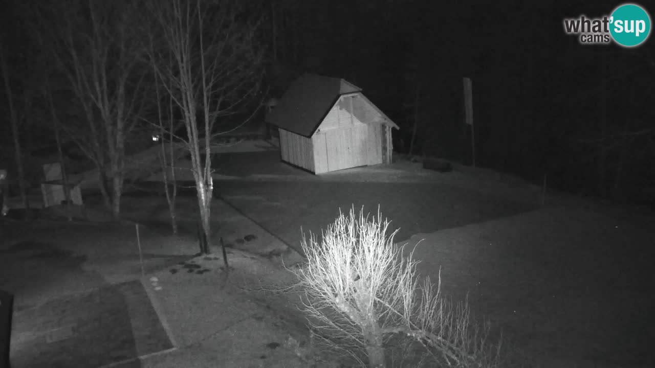 Webcam Lukanja – Water Village | Pohorje Houses