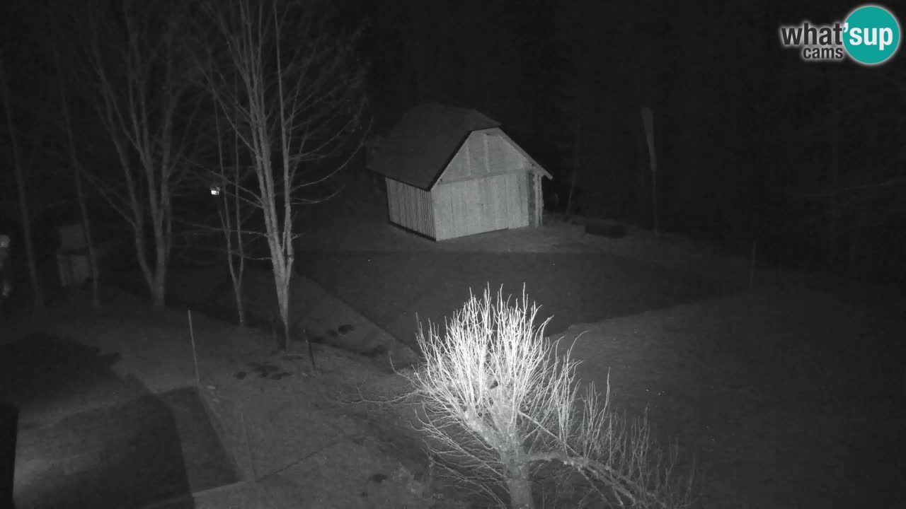 Webcam Lukanja – Water Village | Pohorje Houses