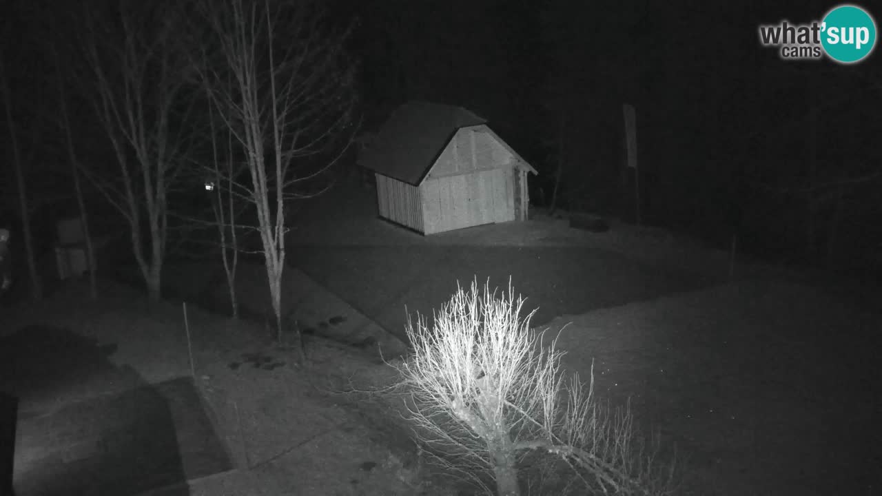 Webcam Lukanja – Water Village | Pohorje Houses