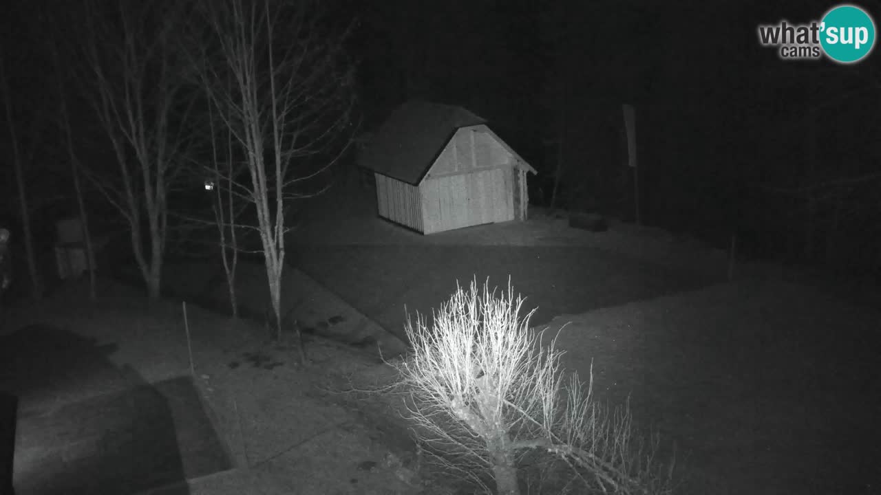 Webcam Lukanja – Water Village | Pohorje Houses