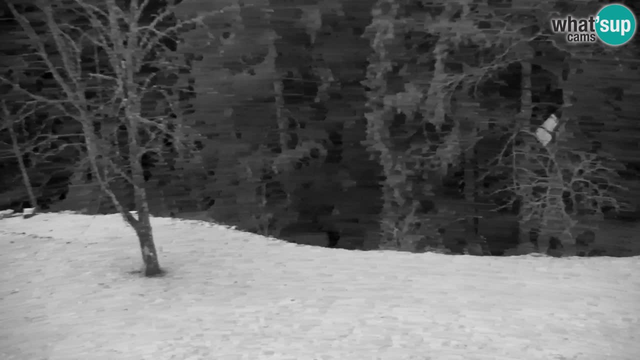 Webcam Lukanja – Water Village | Pohorje Houses