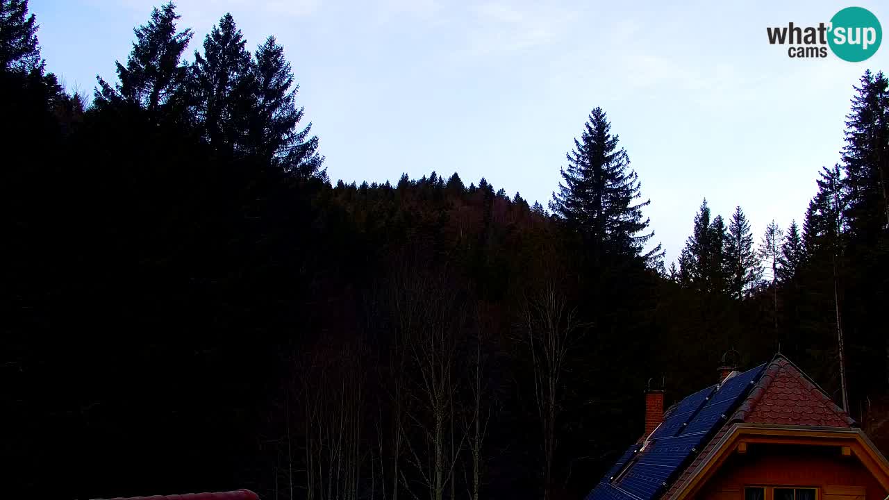 Webcam Lukanja – Water Village | Pohorje Houses