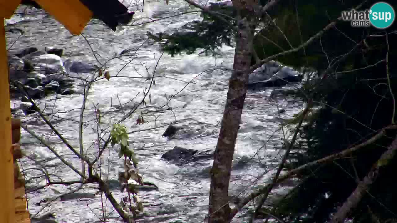 Webcam Lukanja – Water Village | Pohorje Houses