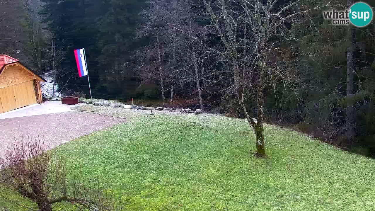 Webcam Lukanja – Water Village | Pohorje Houses