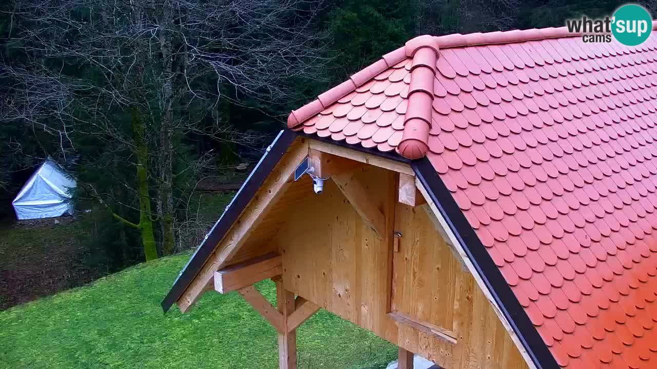 Webcam Lukanja – Water Village | Pohorje Houses