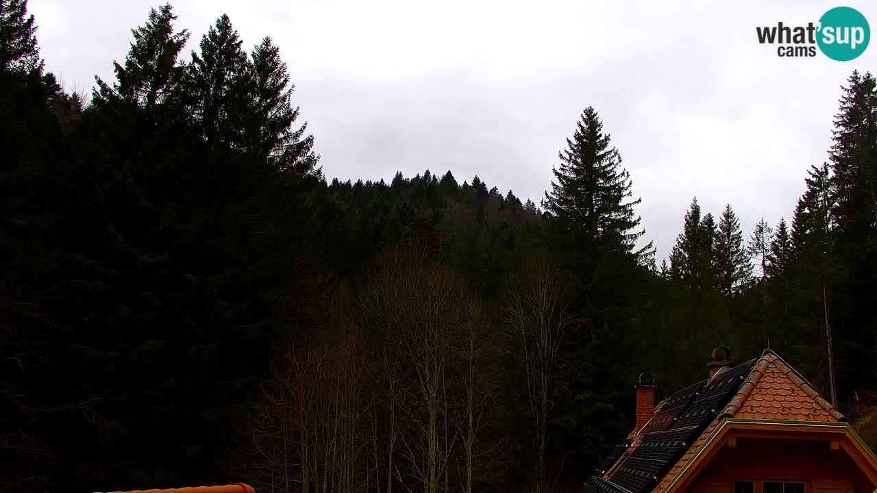 Webcam Lukanja – Water Village | Pohorje Houses